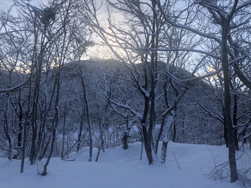 urabandai-base-winter-snow-forest-01