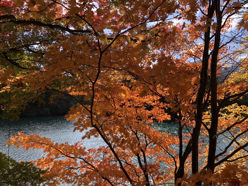 urabandai-base-autumn-foliage-lake-01